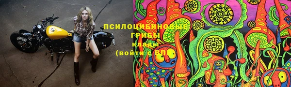 мет Белокуриха