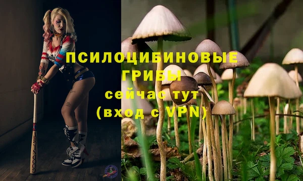 герыч Беломорск